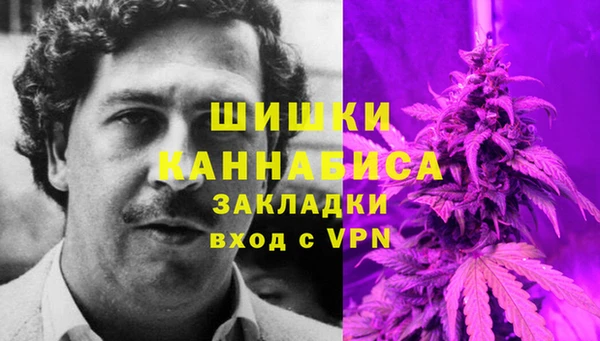 MESCALINE Белокуриха